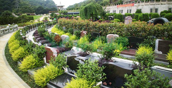 明升mansion88(中国游)最新官方网站