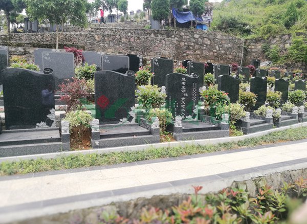 明升mansion88(中国游)最新官方网站