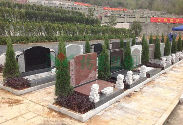 明升mansion88(中国游)最新官方网站