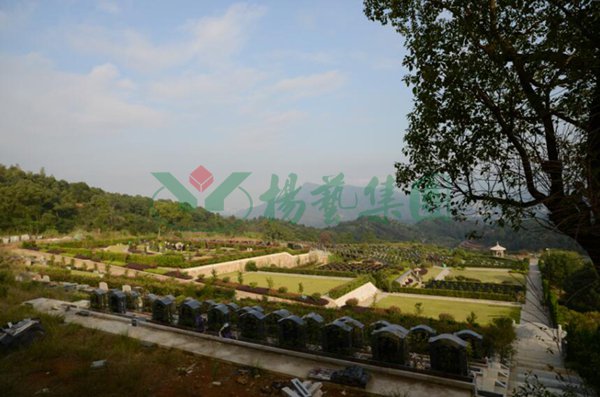 明升mansion88(中国游)最新官方网站