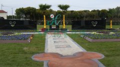 上；；；懔啊捌瞻贰