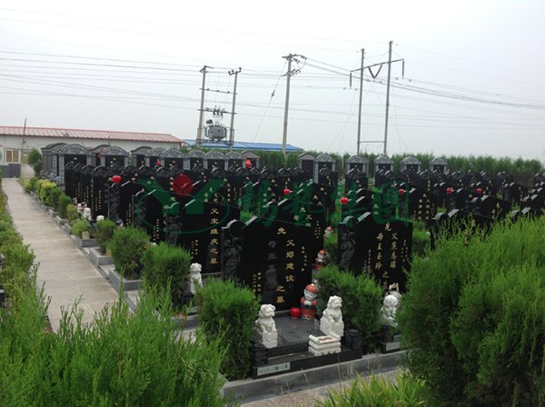 明升mansion88(中国游)最新官方网站