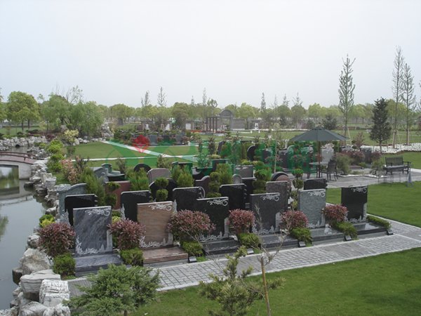 明升mansion88(中国游)最新官方网站