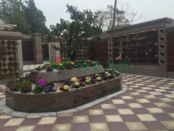 明升mansion88(中国游)最新官方网站