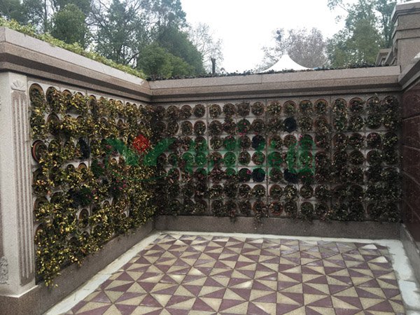 明升mansion88(中国游)最新官方网站