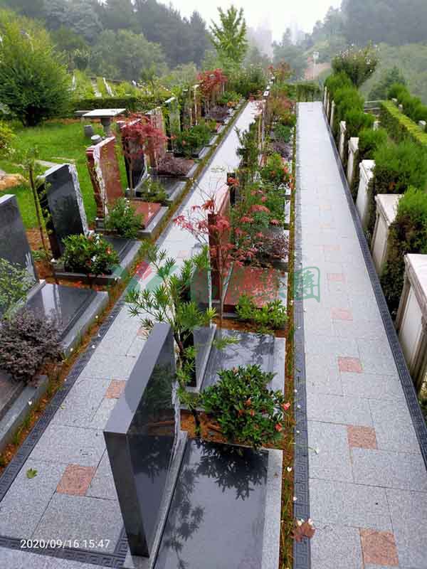 明升mansion88(中国游)最新官方网站