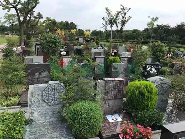 明升mansion88(中国游)最新官方网站