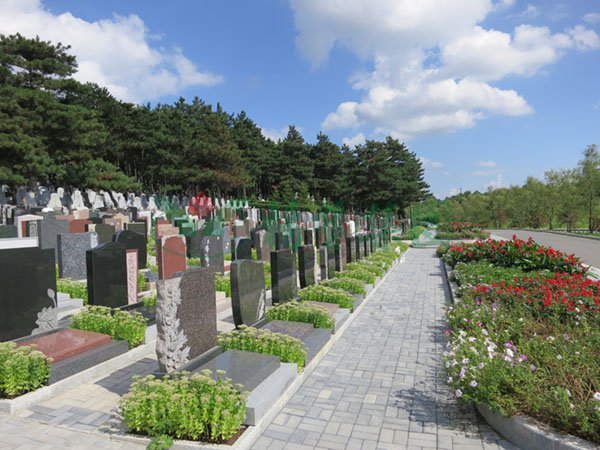 明升mansion88(中国游)最新官方网站