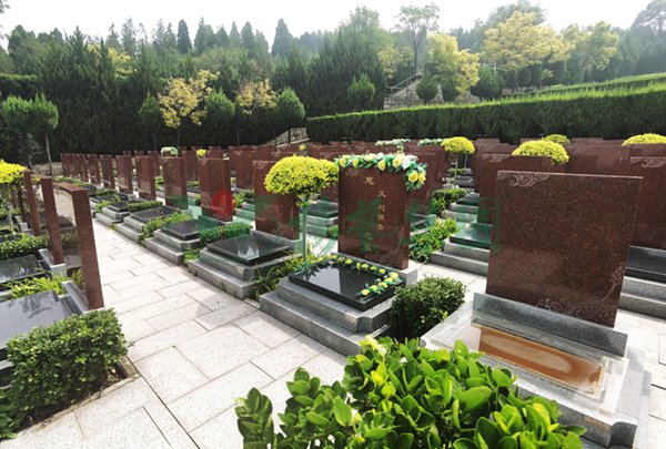 明升mansion88(中国游)最新官方网站