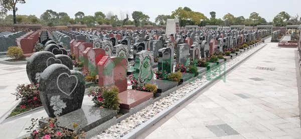 明升mansion88(中国游)最新官方网站