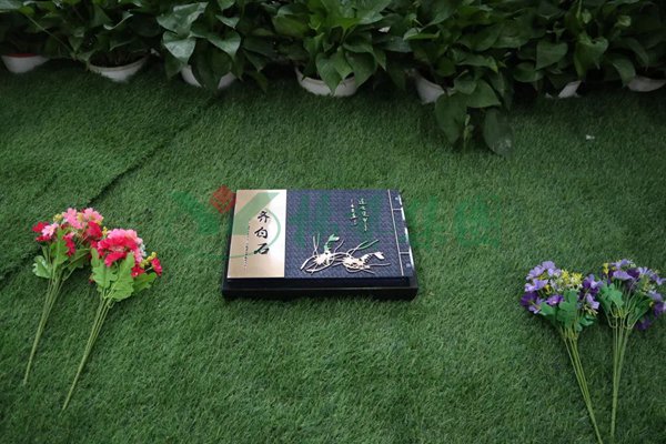 明升mansion88(中国游)最新官方网站