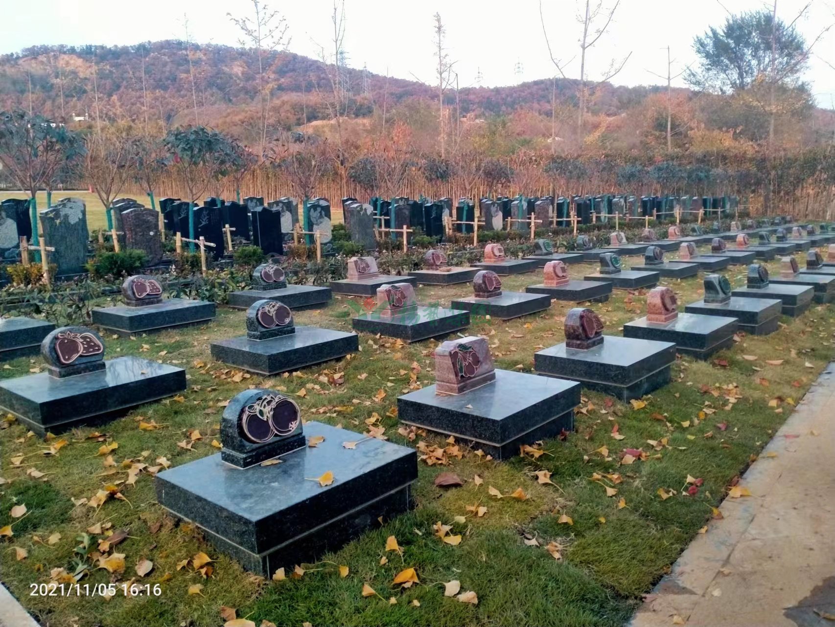 明升mansion88(中国游)最新官方网站