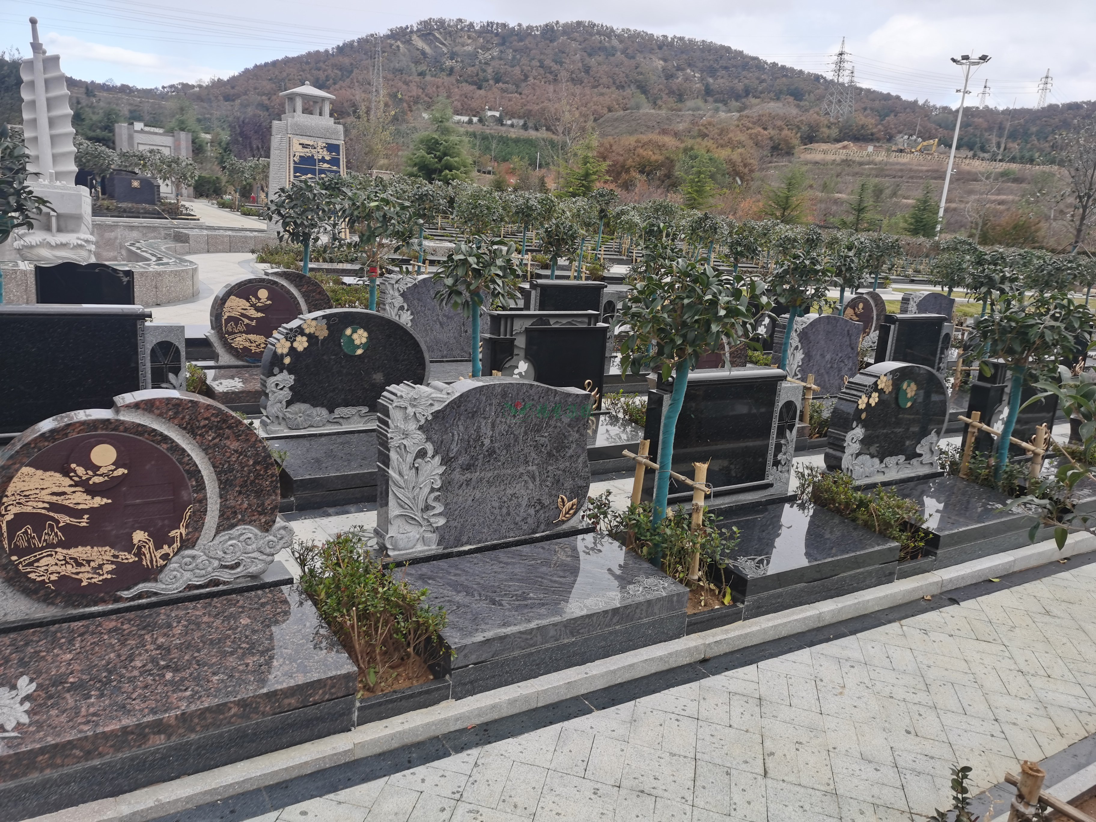 明升mansion88(中国游)最新官方网站