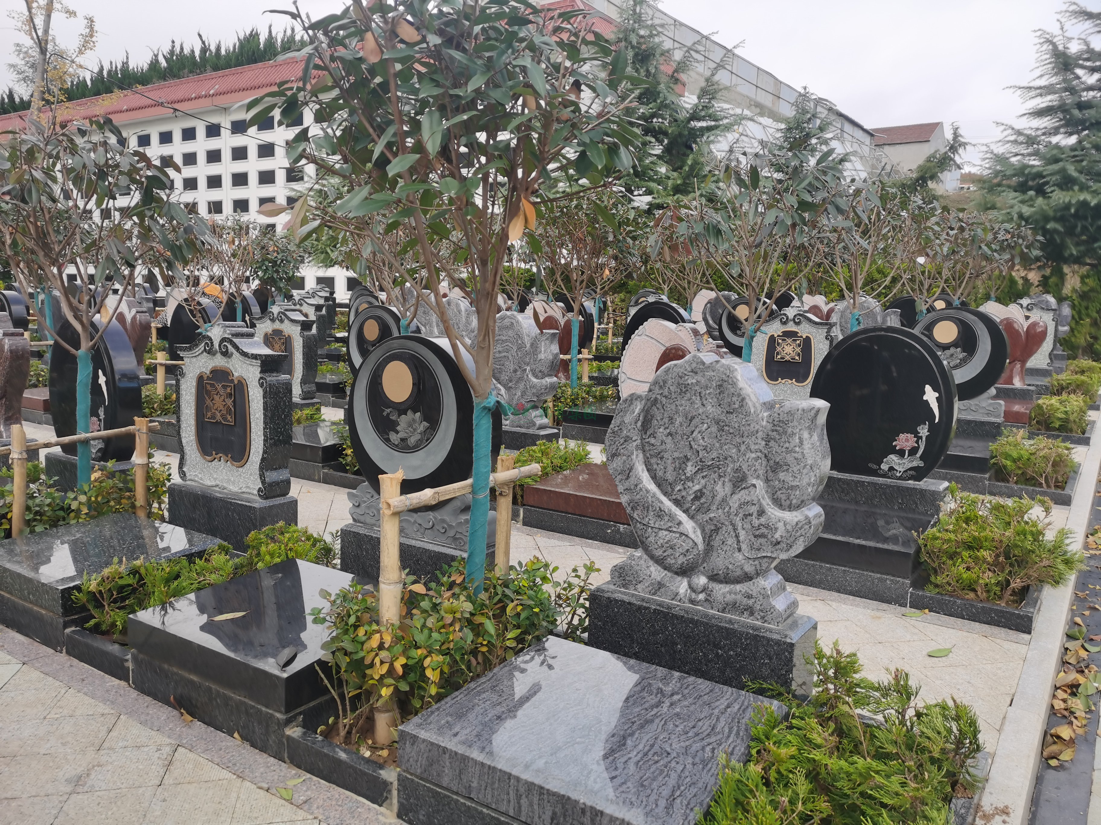 明升mansion88(中国游)最新官方网站