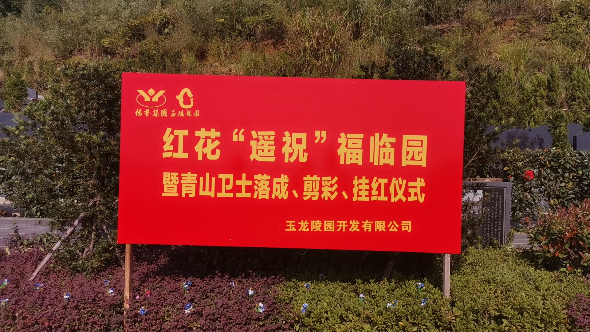 红花传爱意，，，，，情满玉龙园！