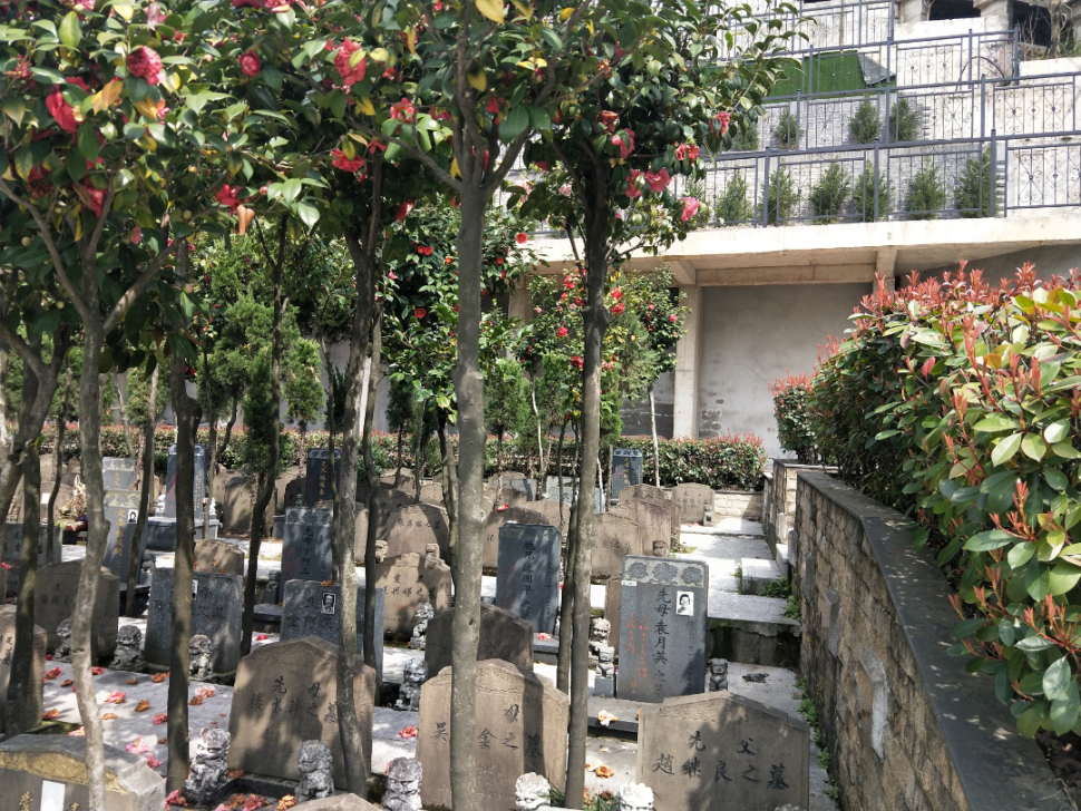 明升mansion88(中国游)最新官方网站