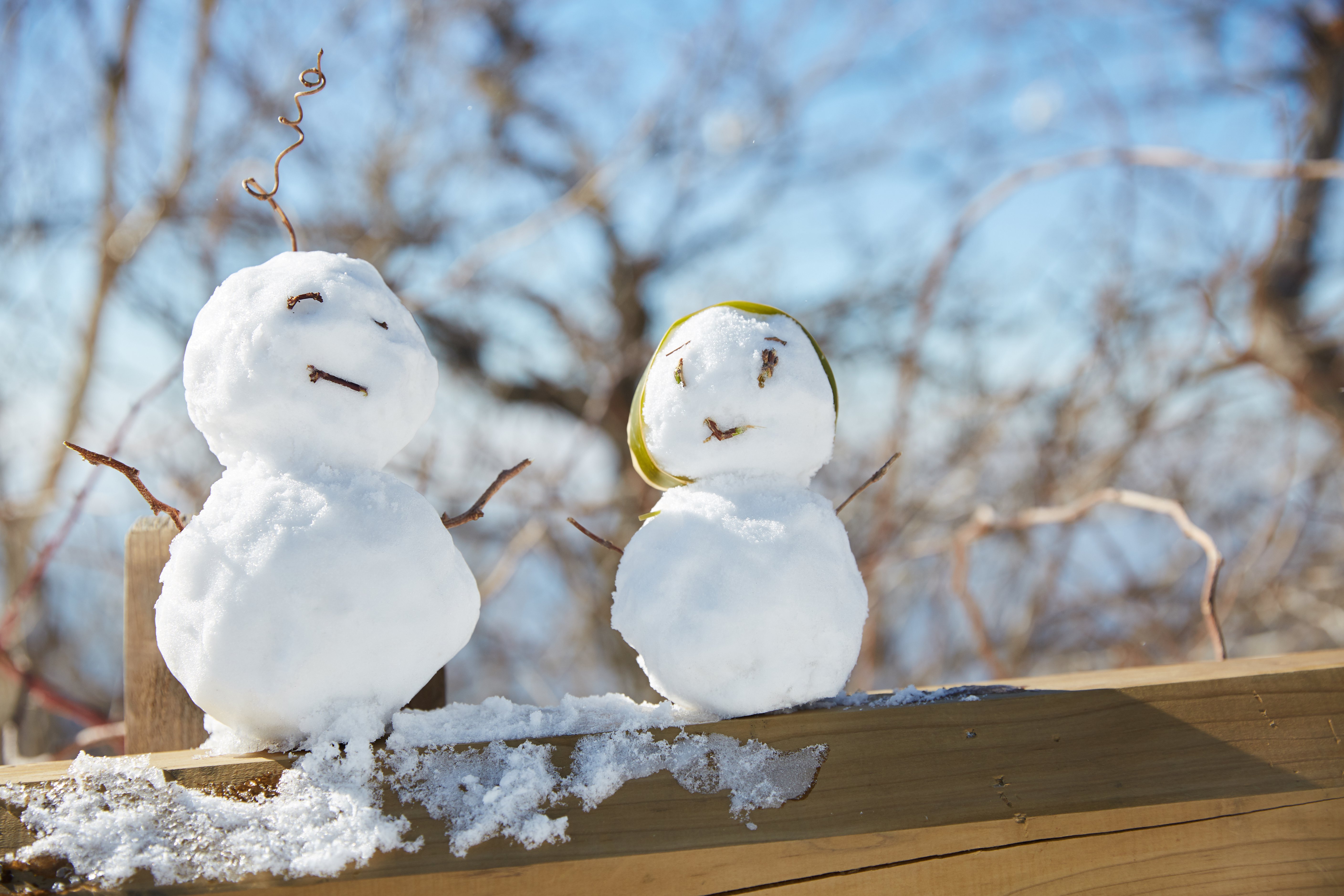 冬至，，，暖“杨”相伴 | 明升mansion88人全力配合各墓园冬至落葬