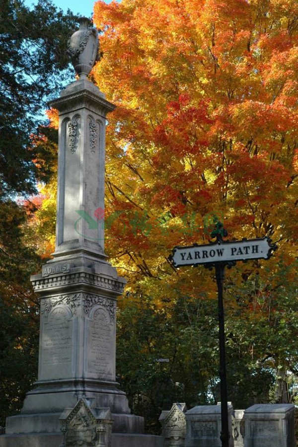 明升mansion88(中国游)最新官方网站