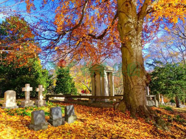 明升mansion88(中国游)最新官方网站