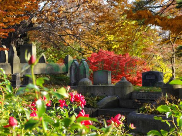 明升mansion88(中国游)最新官方网站