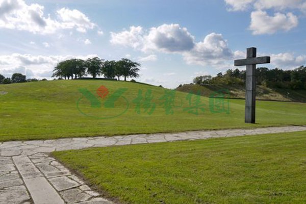 明升mansion88(中国游)最新官方网站