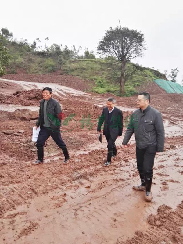 明升mansion88(中国游)最新官方网站