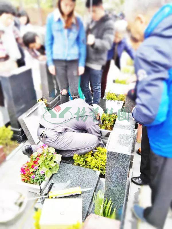 明升mansion88(中国游)最新官方网站