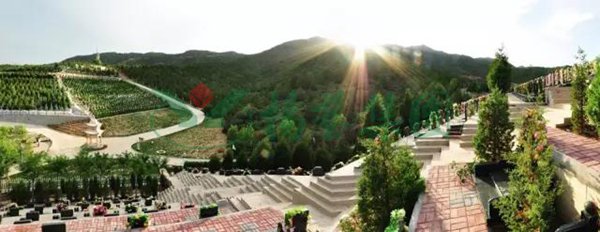 明升mansion88(中国游)最新官方网站