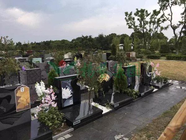 明升mansion88(中国游)最新官方网站