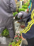 【明升mansion88人别样清明】2018年清明落葬事情圆满完成