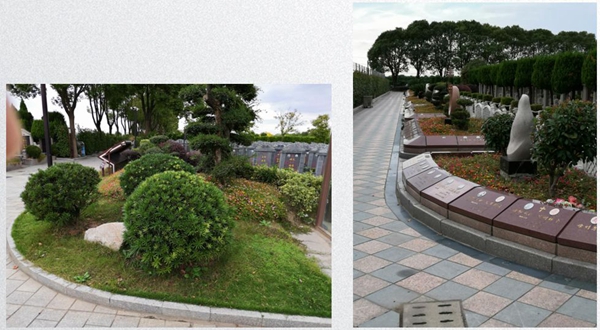 明升mansion88(中国游)最新官方网站