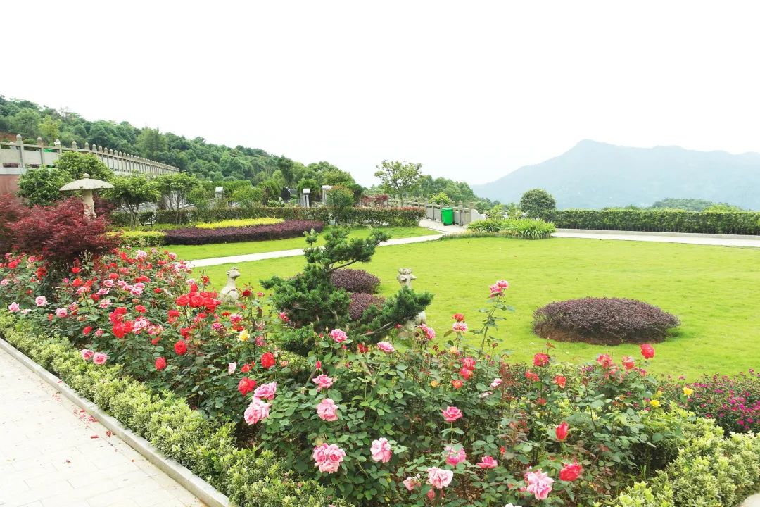 明升mansion88(中国游)最新官方网站