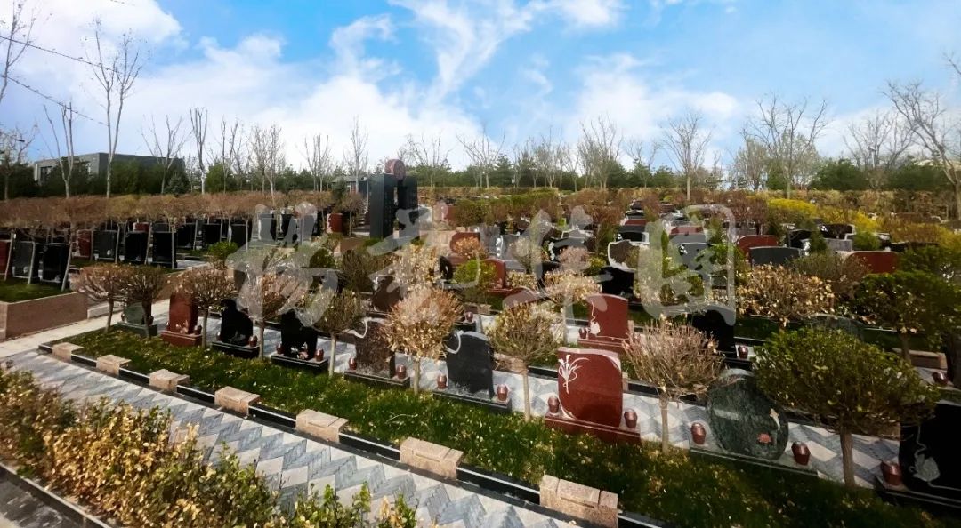 明升mansion88(中国游)最新官方网站