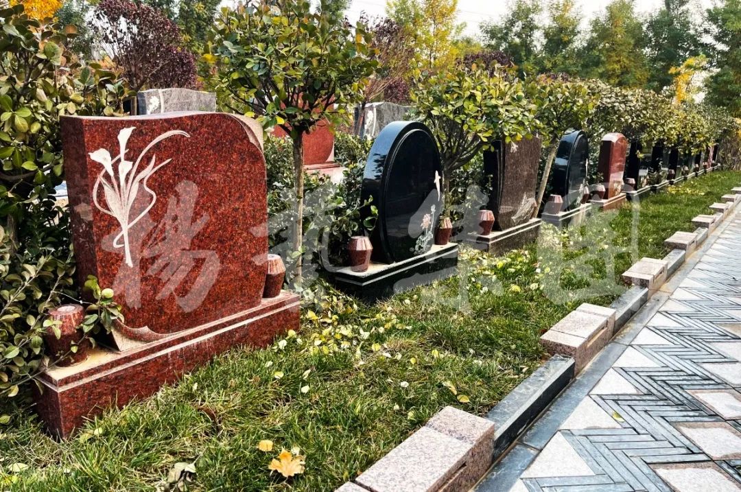 明升mansion88(中国游)最新官方网站