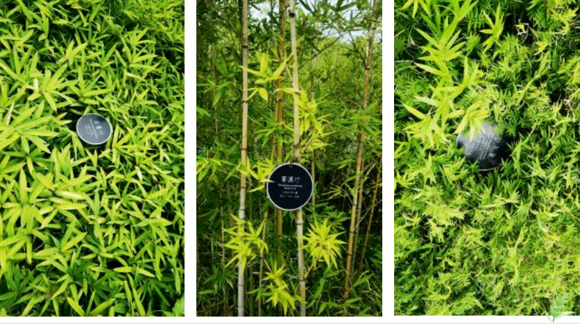 明升mansion88(中国游)最新官方网站