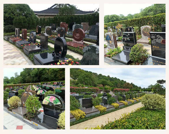 明升mansion88(中国游)最新官方网站