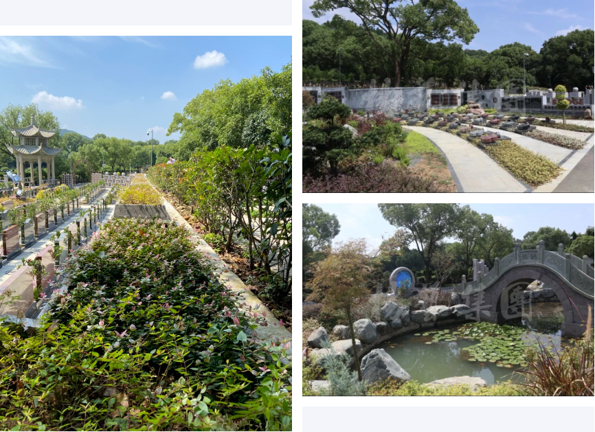 明升mansion88(中国游)最新官方网站