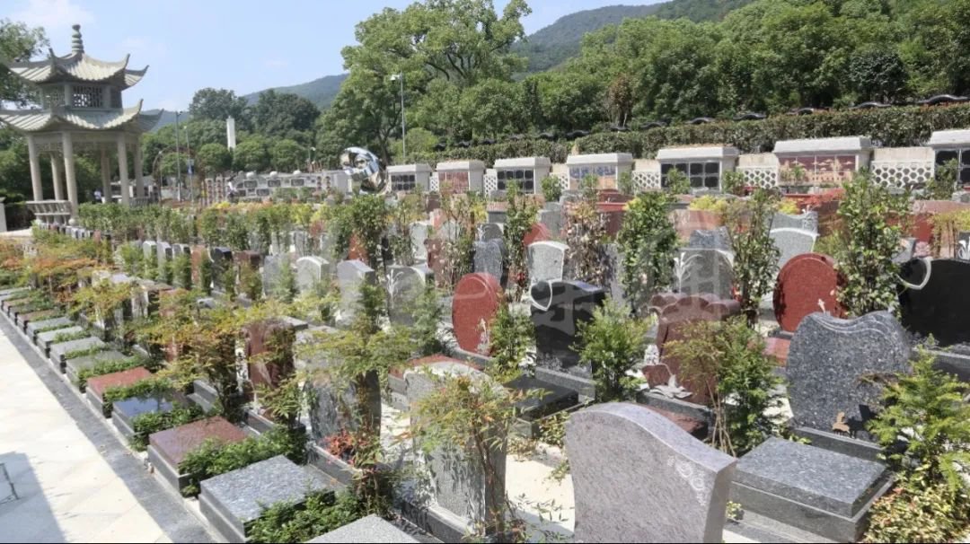 明升mansion88(中国游)最新官方网站