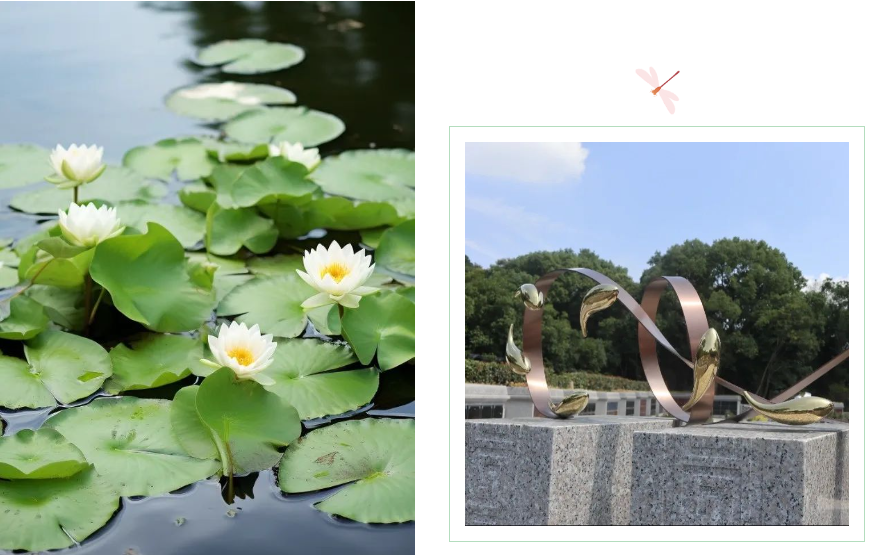 明升mansion88(中国游)最新官方网站