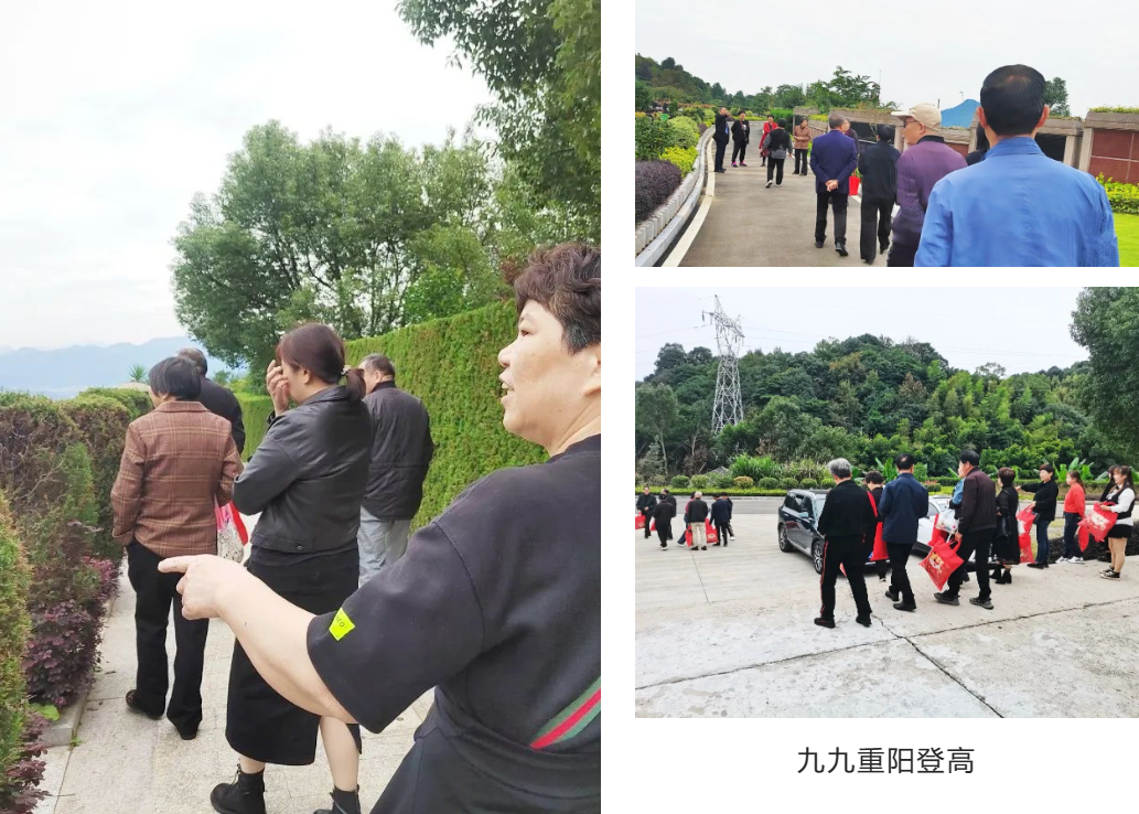 明升mansion88(中国游)最新官方网站