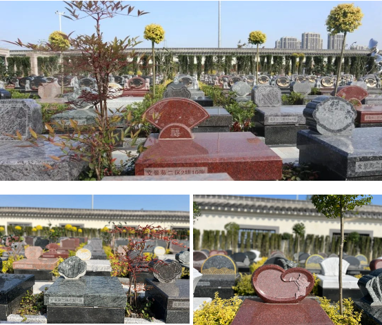 明升mansion88(中国游)最新官方网站