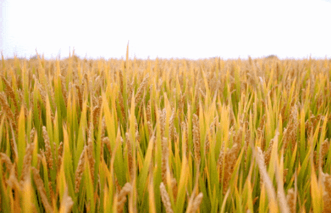 明升mansion88(中国游)最新官方网站