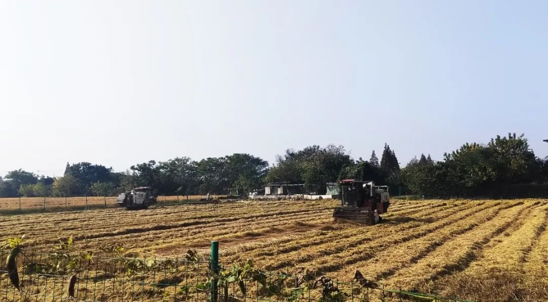 明升mansion88(中国游)最新官方网站