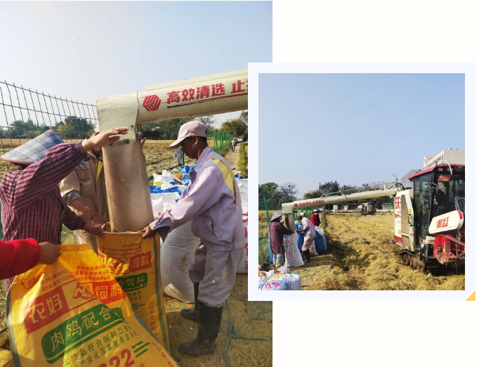 明升mansion88(中国游)最新官方网站