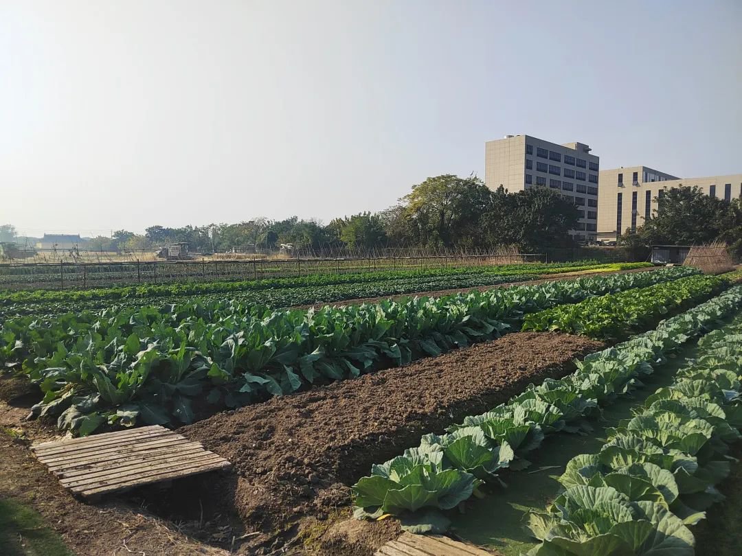 明升mansion88(中国游)最新官方网站