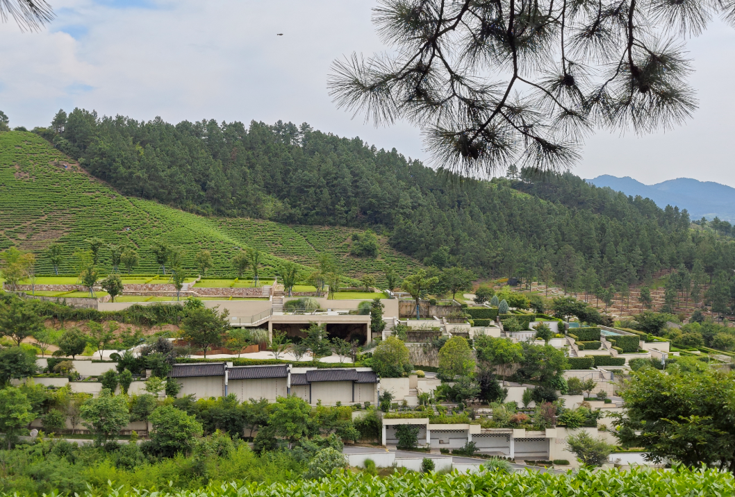 明升mansion88(中国游)最新官方网站