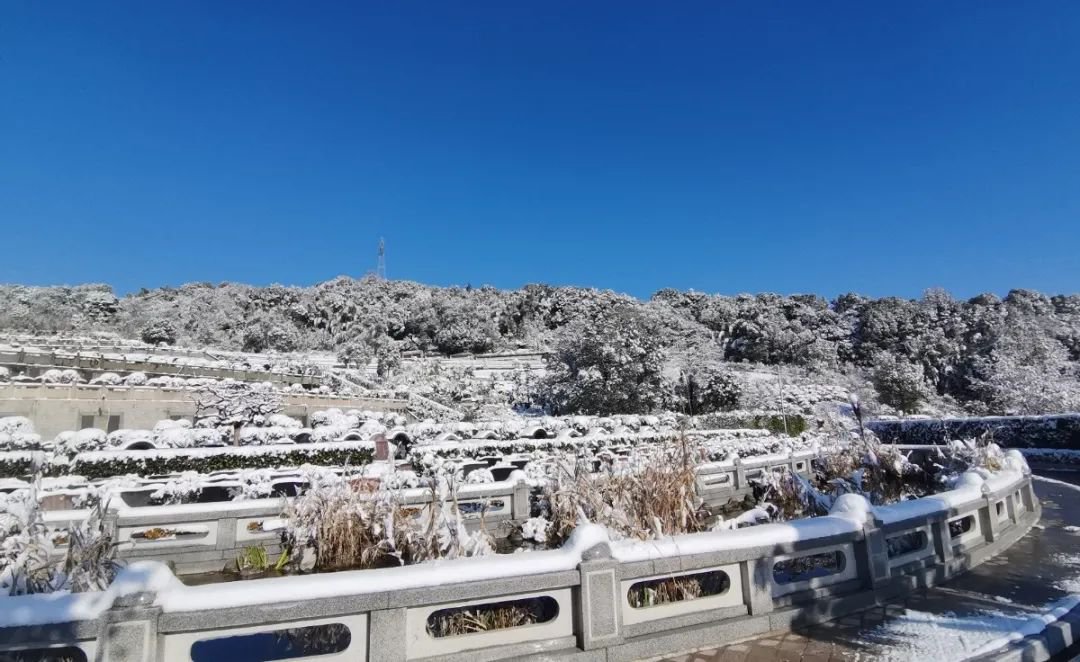 明升mansion88(中国游)最新官方网站