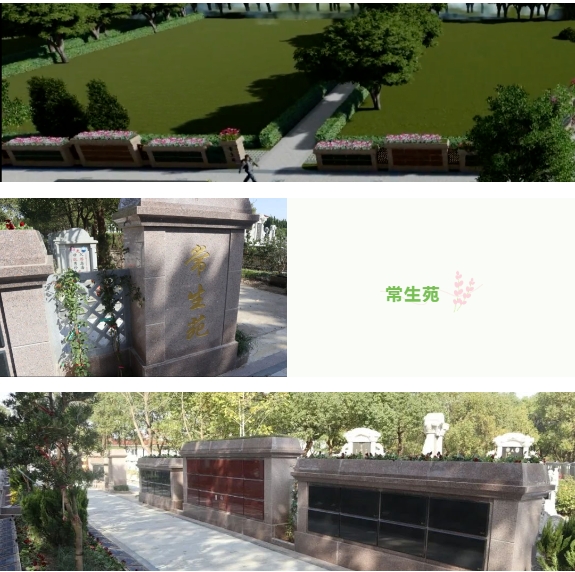 明升mansion88(中国游)最新官方网站