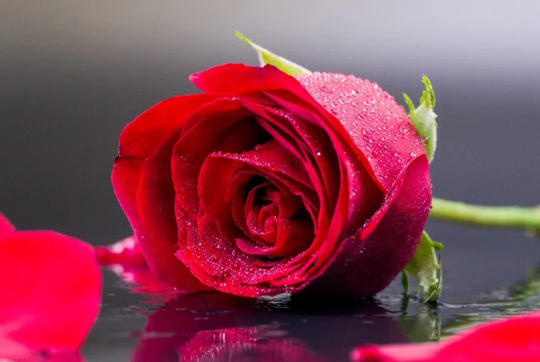 明升mansion88(中国游)最新官方网站