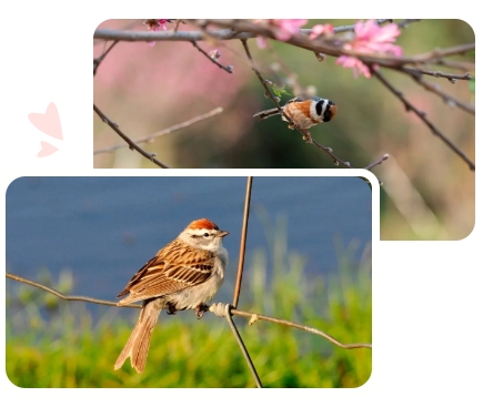 明升mansion88(中国游)最新官方网站